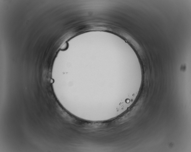 X0000101661193200808071013