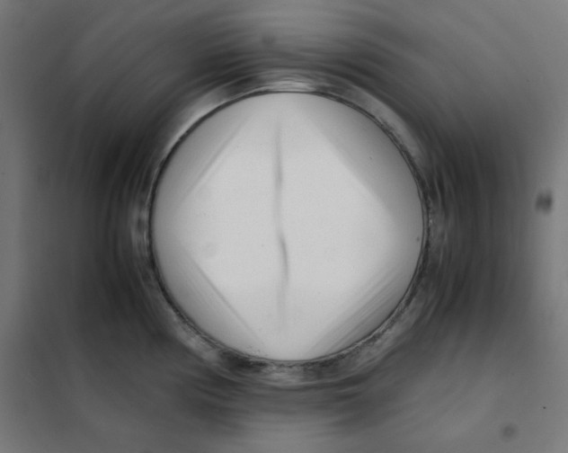 X0000101661194200808071013