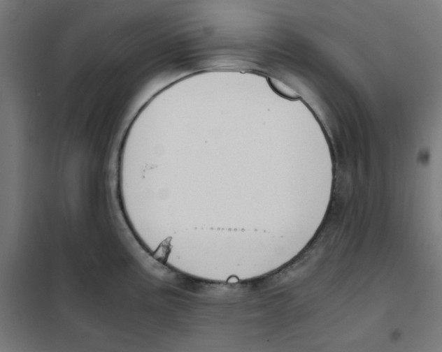 X0000101661195200808071013