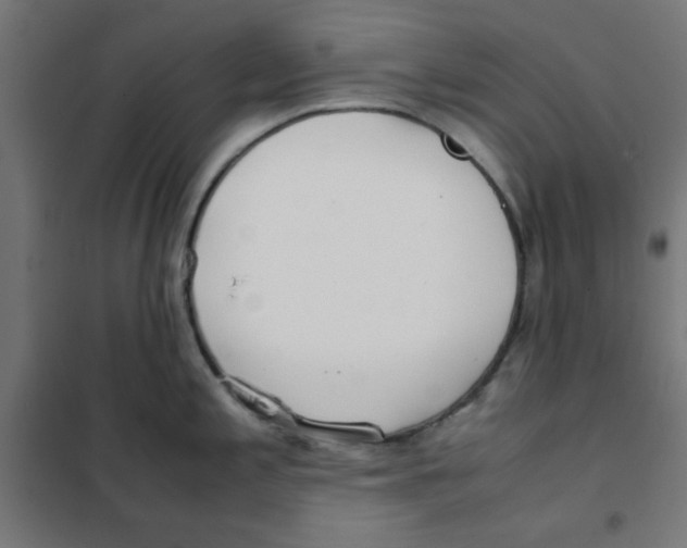 X0000101661197200808071013