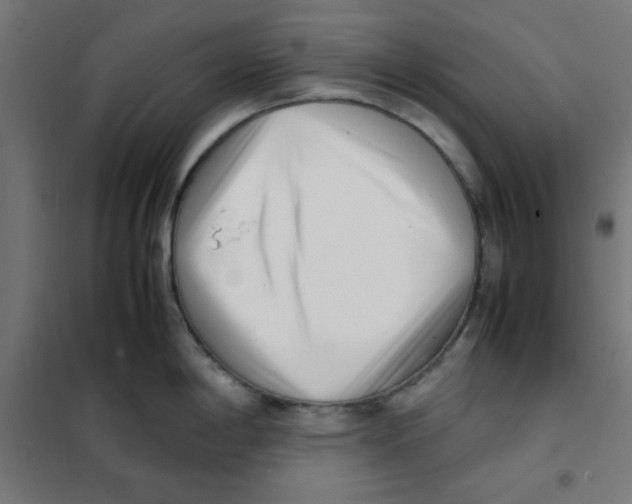 X0000101661198200808071013