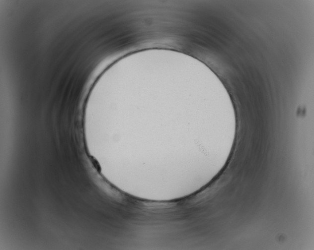 X0000101661200200808071013