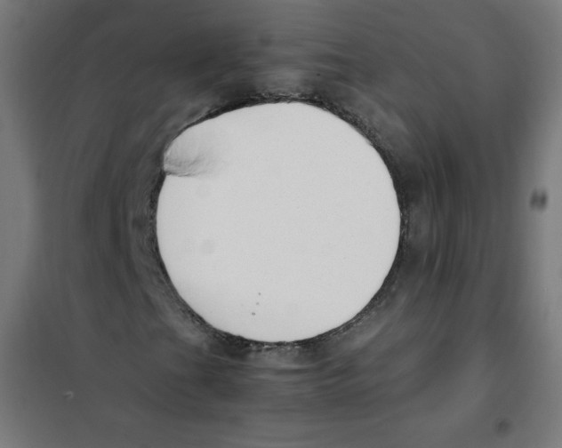 X0000101661201200808071013
