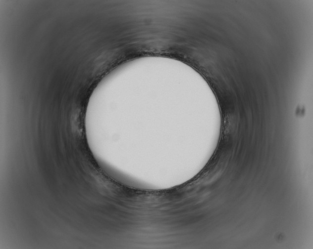 X0000101661202200808071013