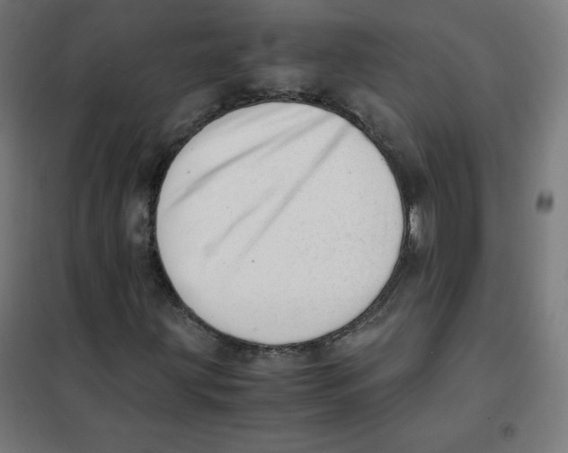 X0000101661203200808071013