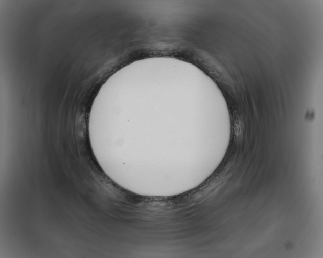 X0000101661204200808071013