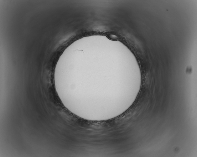 X0000101661205200808071013