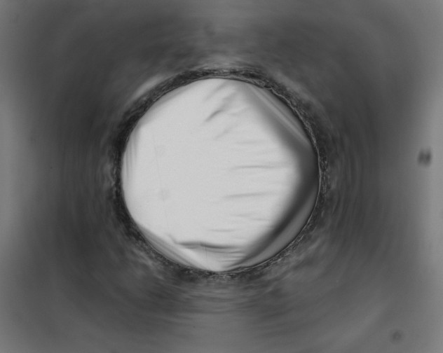 X0000101661206200808071013