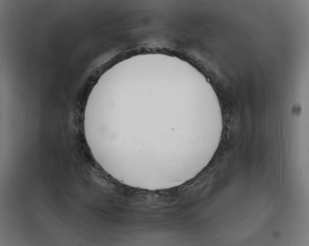 X0000101661207200808071013