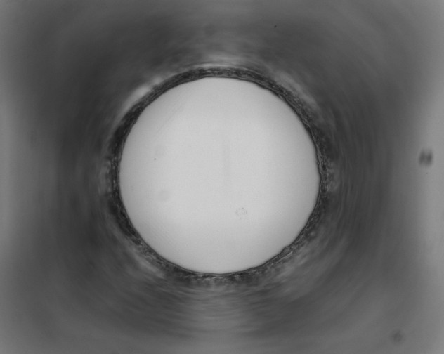 X0000101661208200808071013