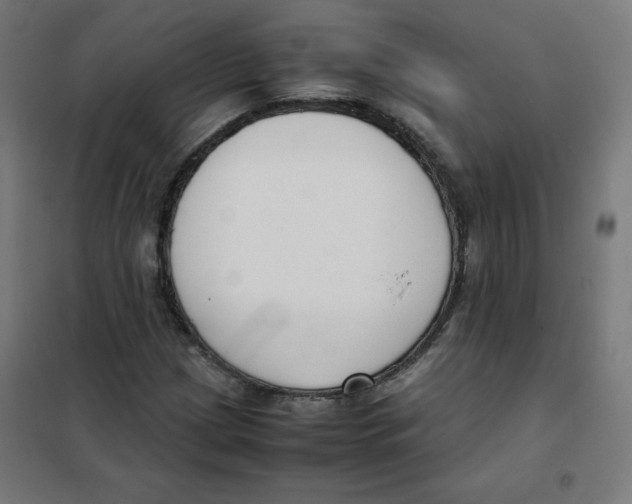 X0000101661209200808071013