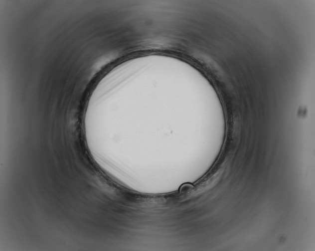 X0000101661210200808071013