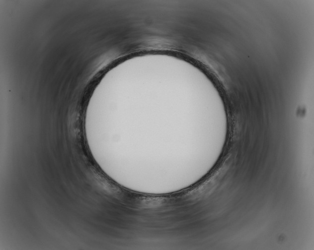 X0000101661211200808071013