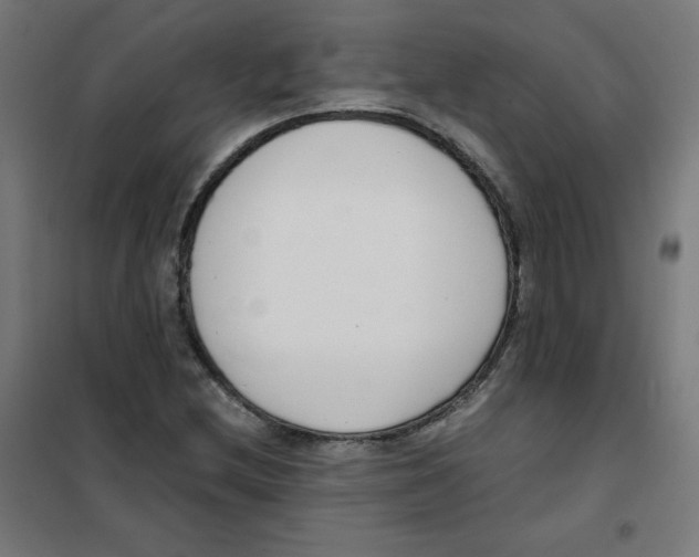 X0000101661212200808071013