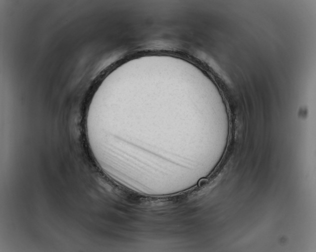 X0000101661213200808071013