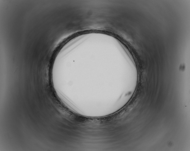 X0000101661214200808071013
