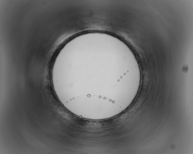 X0000101661215200808071013
