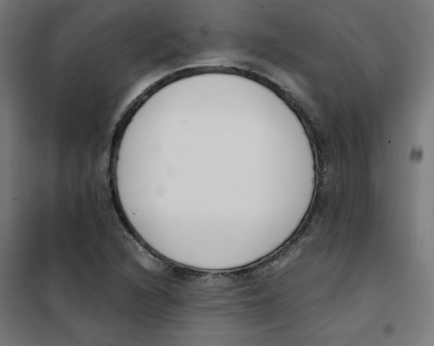 X0000101661216200808071013