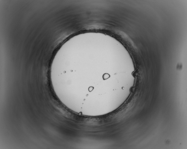 X0000101661217200808071013
