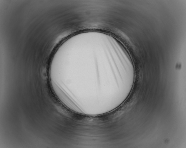 X0000101661218200808071013