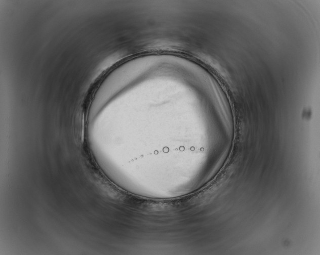 X0000101661219200808071013