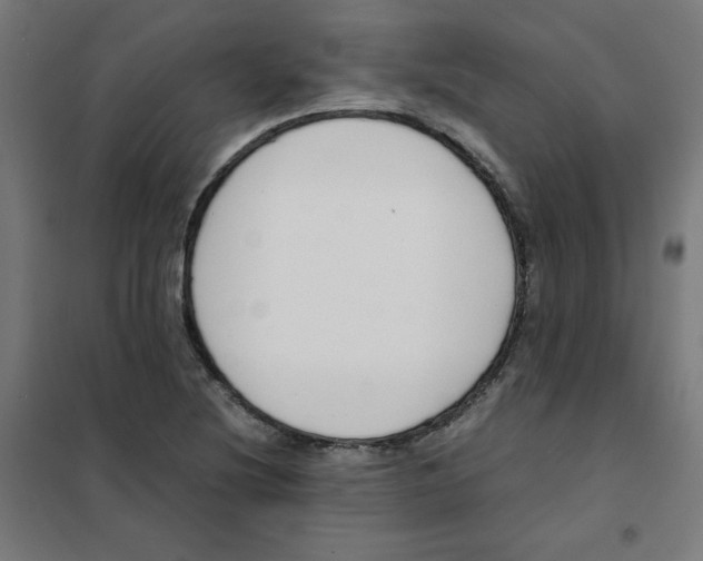 X0000101661220200808071013