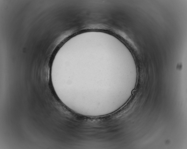 X0000101661221200808071013