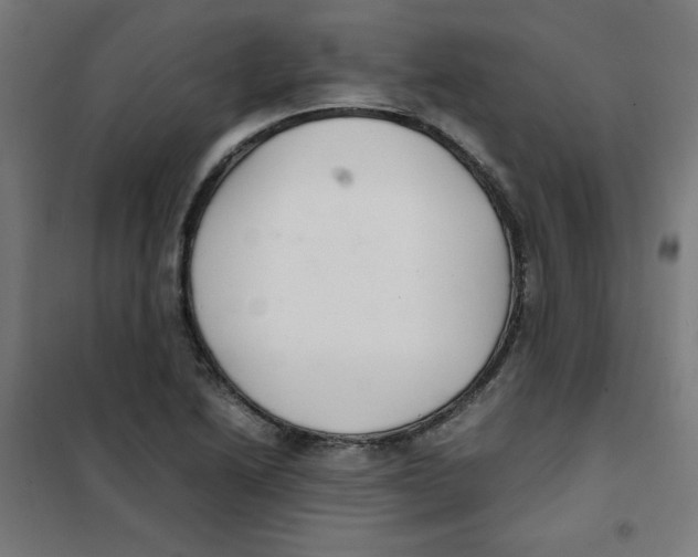 X0000101661222200808071013