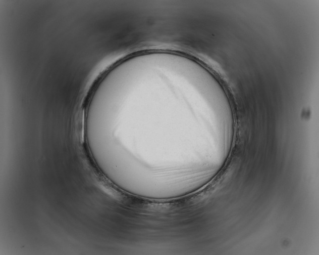 X0000101661223200808071013