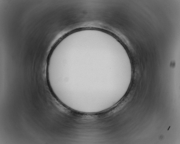 X0000101661224200808071013