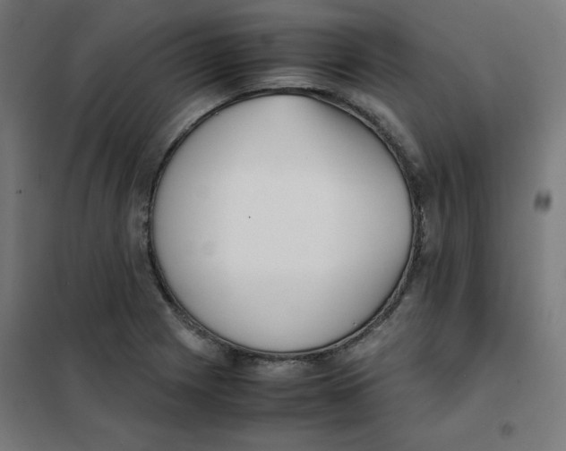 X0000101661225200808071013