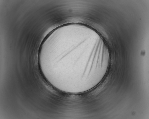 X0000101661226200808071013