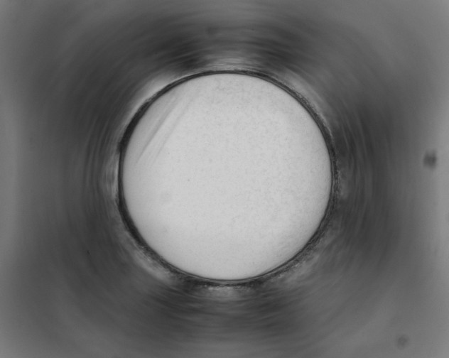 X0000101661227200808071013