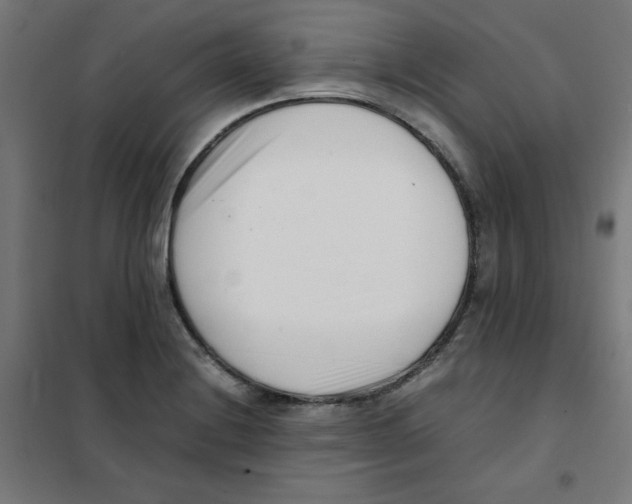 X0000101661228200808071013