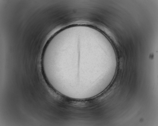 X0000101661229200808071013