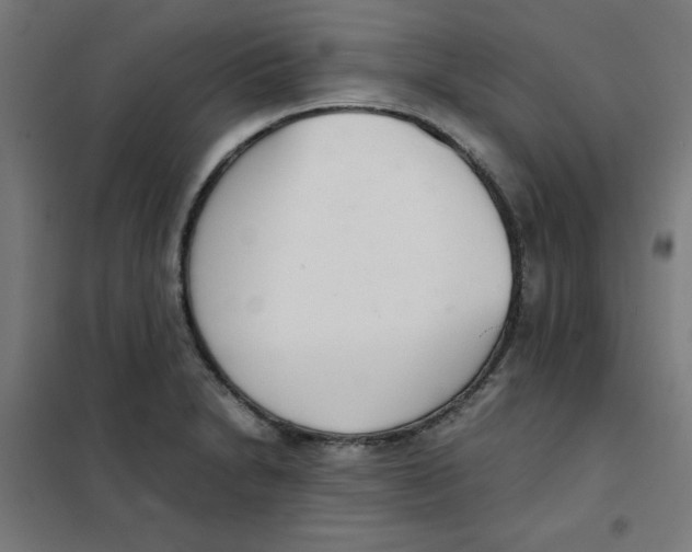 X0000101661230200808071013