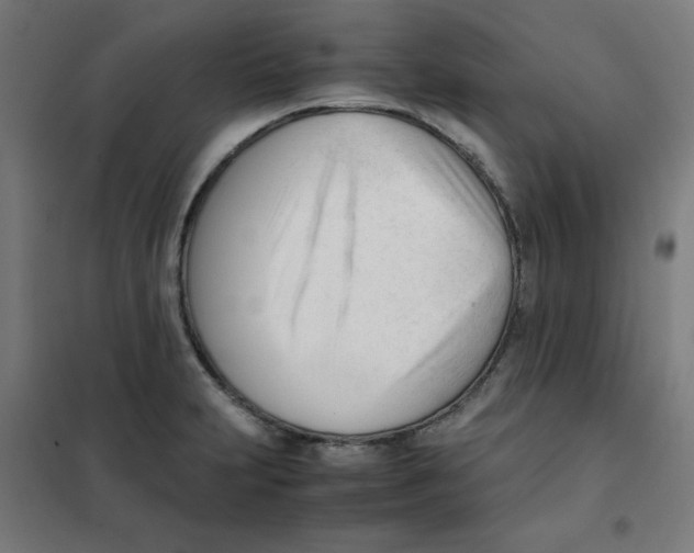 X0000101661231200808071013
