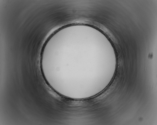 X0000101661232200808071013