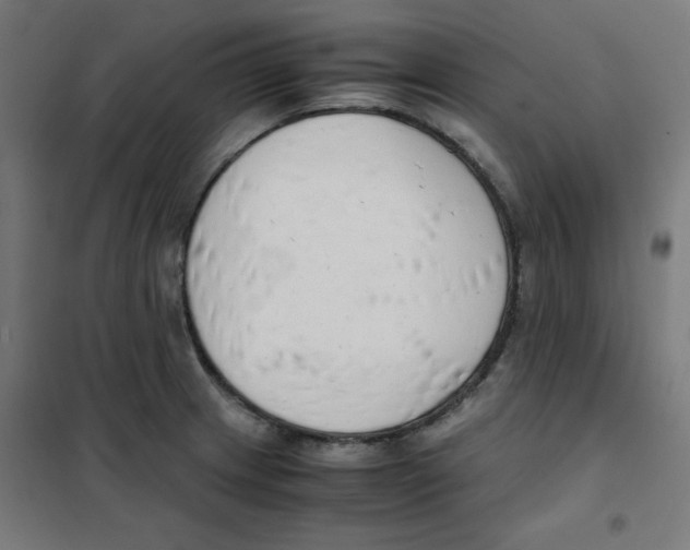 X0000101661233200808071013