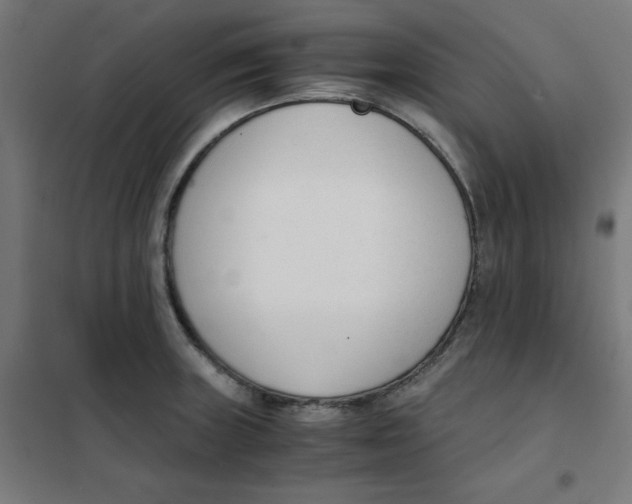 X0000101661235200808071013