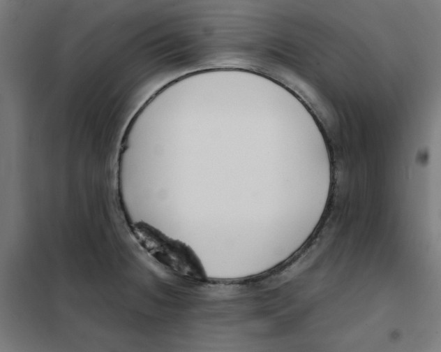 X0000101661236200808071013