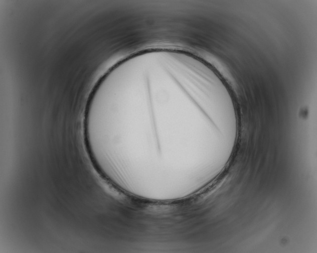 X0000101661237200808071013