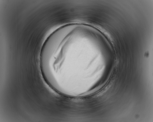 X0000101661239200808071013