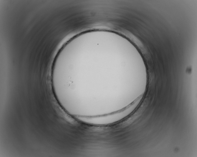 X0000101661240200808071013