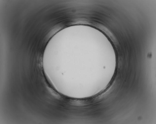 X0000101661241200808071013