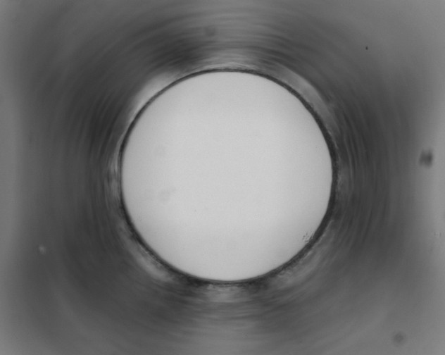 X0000101661242200808071013