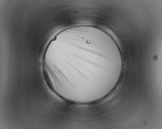 X0000101661243200808071013