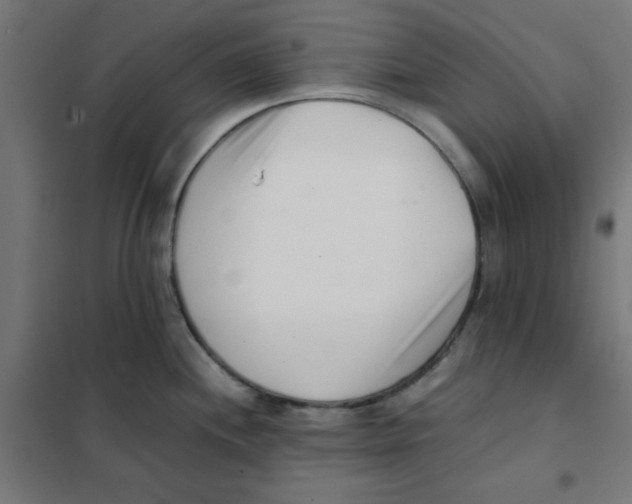 X0000101661244200808071013
