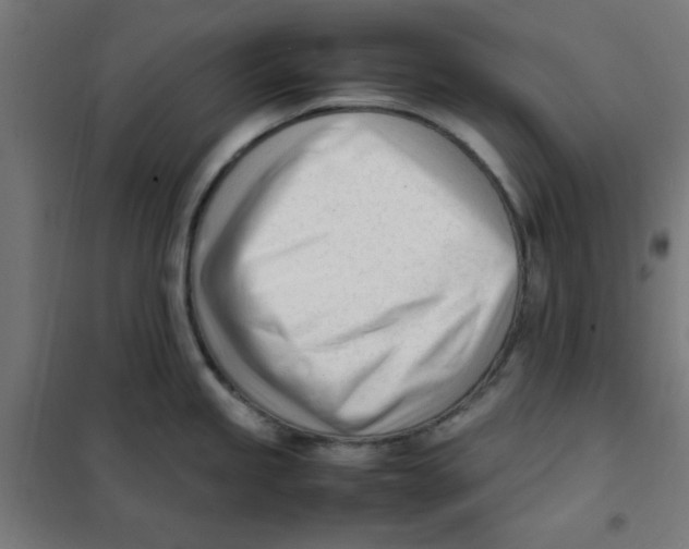 X0000101661245200808071013