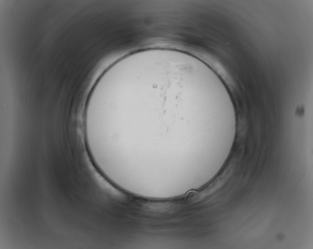 X0000101661247200808071013